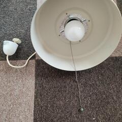 白熱灯照明器具 シーリングライト DX-85636 100W 大光電機