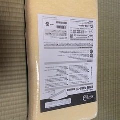 未使用　トゥルースリーパー枕　低反発