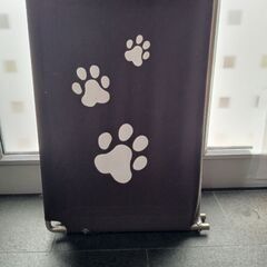折りたたみペットベッド　箱付きの画像