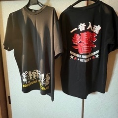 高松市立国分寺中学校　吹奏楽部　部活Tシャツ　LLサイズ　2枚セット