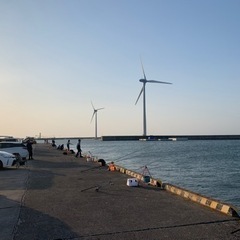 海🌊釣りやっテいる方、一緒に行きまセンカ？🚢海釣り仲間大募集‼️老若男女、外人さんも大歓迎です😇金がないなら海にが行くさ魚があれば生きられる。 ☺️食べるのに困らない人生を😋 - 友達