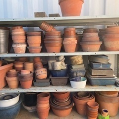 植木鉢（陶器）あげます