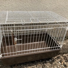 ケージ小☆引き渡し済み