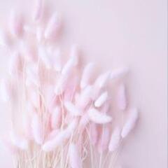 🌷全国🌷🌷女性限定🌷💐メンタルFRIEND💐 - チャット