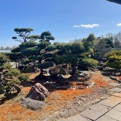 コンクリート平板