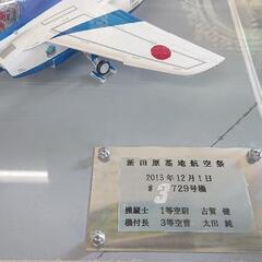 ブルーインパルス 模型 ケース付きの画像
