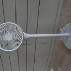 リビング扇風機・サーキュレーター