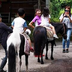 那須 触れ合い牧場スタッフ 馬  小動物の画像