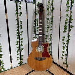 【愛品館八千代店】Aria FET-12　12弦エレアコ