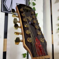 【愛品館八千代店】Aria FET-12　12弦エレアコの画像