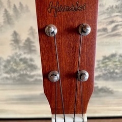 初心者用ウクレレセットHanalei☆スタンド、教本、チューニング機械つき。の画像