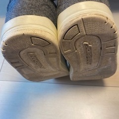 NIKE ナイキ　25㎝　エアジョーダンレトロ3 エアマックス