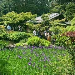 【5月7日13:00】燕子花図屏風@根津美術館に行きませんか？ - 港区