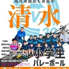 清水バレーボールジュニア団員募集‼️ - スポーツ