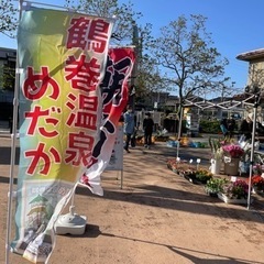 5/7（土）鶴巻温泉朝市　メダカ出店情報