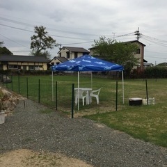 ドッグラン貸切専用プールオープン
