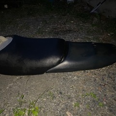 ジェットスキー　シートの画像