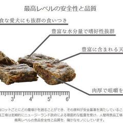 （35）iti ビーフ＆イール（うなぎ） ディナー 200gの画像