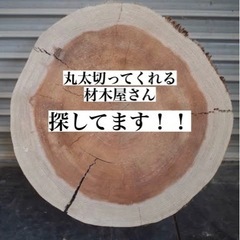 丸太を沢山欲しい！！