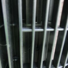 F838　アイリスオーヤマ　タワーファン  TWF-M72   扇風機 ２０１８年製の画像