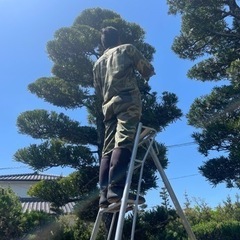 植木剪定、草刈り、伐採、植栽、防草対策、砂敷き、砂利敷き、など！