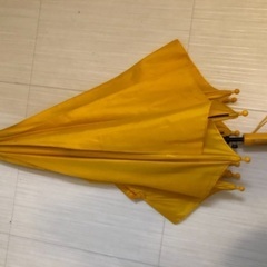 傘