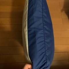 1回試用　トゥルースリーパー座布団の画像