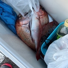 タイラバ釣り