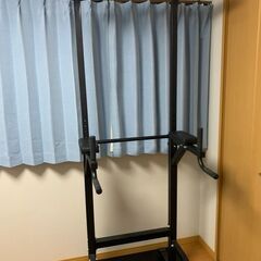 STEADY 懸垂マシン