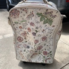 限定品ジルシュチュアートキャリーバッグused