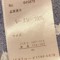 婦人服（CAFii）４Lの画像