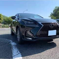 レクサス　NX  Iパッケージ　Fスポーツグリル　前期　200tの画像