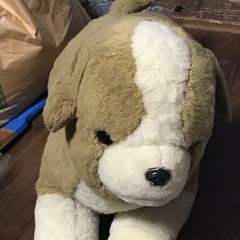犬のぬいぐるみになりますの画像