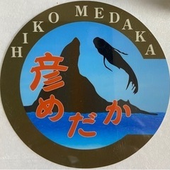 めだか　5月7日
