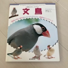 文鳥　小動物ビギナーズガイド　