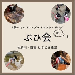 フレブル仲間募集中　ぶひ会@西宮　