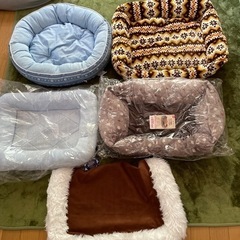 ペットベット