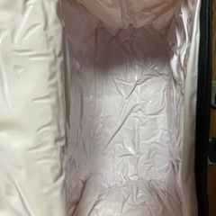 レジャー用の「保温冷バッグ」、要りませんか？の画像
