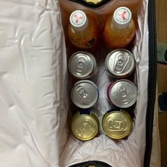 レジャー用の「保温冷バッグ」、要りませんか？の画像