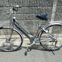 Bianchiビアンキ CAMELEON TE-1 SPORTS／43cm