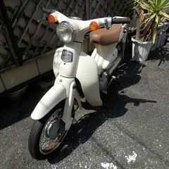 ホンダ　リトルカブの画像