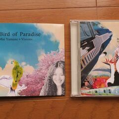 山根麻衣 Bird of Paradise