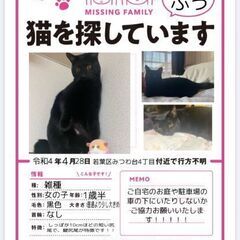 見つかりました。ありがとうございますm(__)mの画像