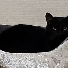 見つかりました。ありがとうございますm(__)m - 助け合い