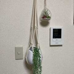 【受渡決定】フェイクグリーン 壁掛け　2個セット