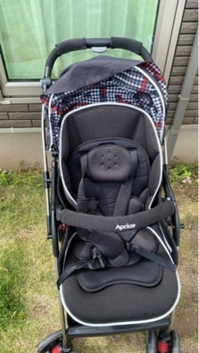 ⭐ 無農薬 はやとうり ハヤトウリ 10K 福島県産37 ⭐ 無農薬 はやとうり ハヤトウリ 10K 福島県産37 セール中