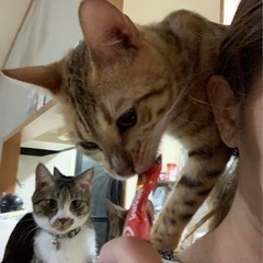 肩に乗る可愛い子