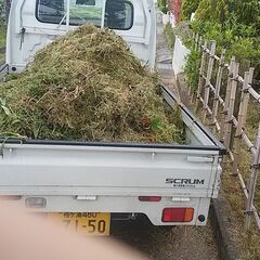 草刈りいたします。
