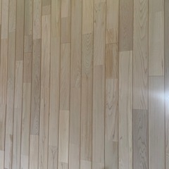 ①青森ヒバ　三坪分　未開封の画像