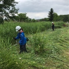 河川敷の草刈り